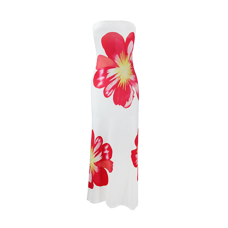 Printed Long Vacation Style Dress