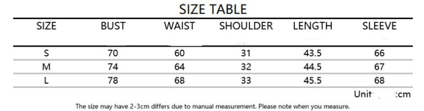 Lantern Puff Sleeve Panel Shirt Top