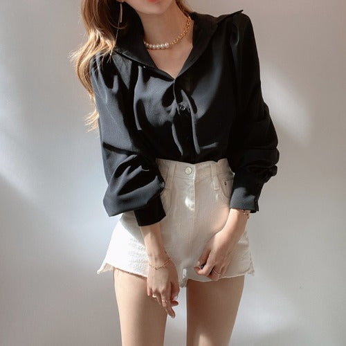 Casual Lantern Sleeve Shirt Blouse