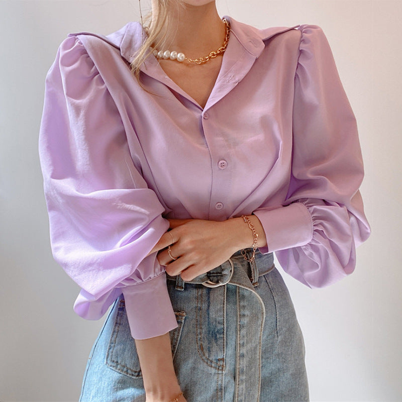Casual Lantern Sleeve Shirt Blouse